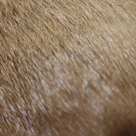 Vintage Mink or Fox Fur Stole Wrap with Pockets Old Money Glam Mob Wife OS - Picture 9 of 16